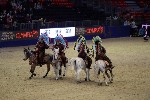 Quadrille - 00208